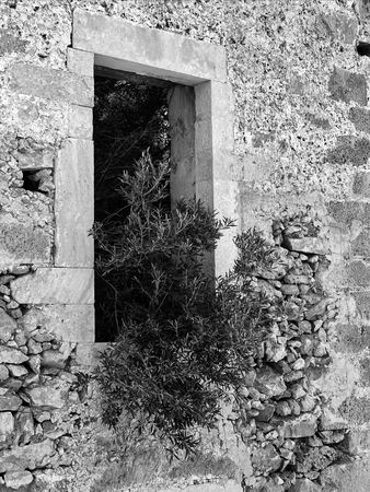 Ruined Doorway, Overgrown — photograph by Randy Polito