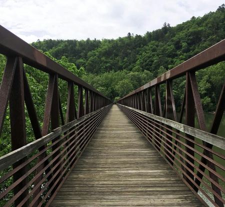 The Long Bridge, Forest Crossing — photograph by Randy Polito