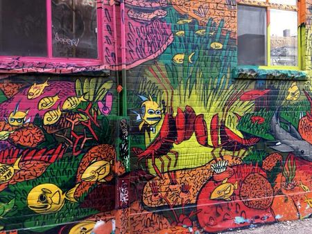 Reef Mural, Study in Color — photograph by Randall Polito