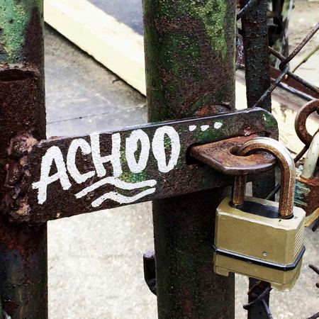 Achoo, Found Text — photograph by Randall Polito