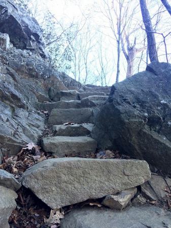 Stone Steps, Mountain Trail — photograph by Randy Polito