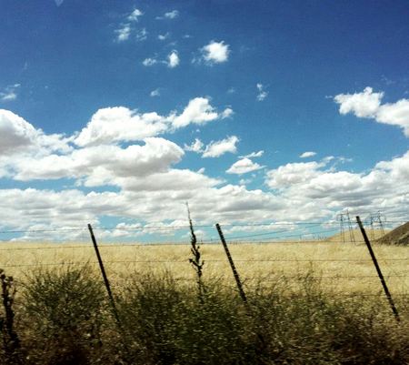 Wheat Field, Summer Sky — photograph by Randall Polito