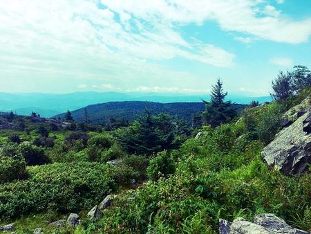 Distant Ridge, Through the Trees — photograph by Randall Polito