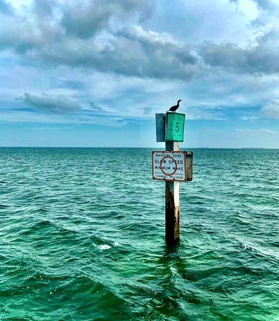 The Channel Marker, Bird at Rest — photograph by Randy Polito