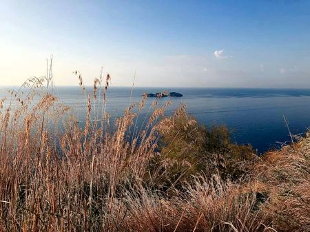 Sea View, Wild Grass — photograph by Randall Polito