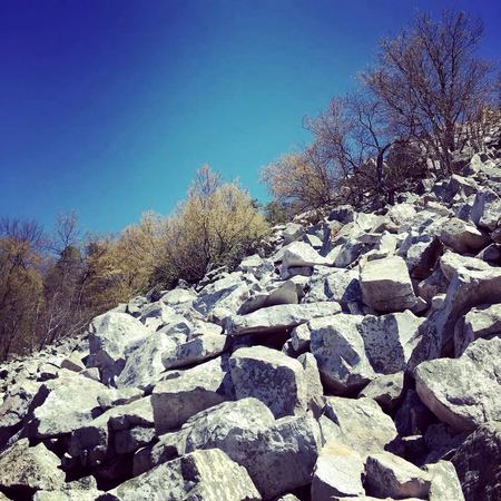 Boulder Field, Study in Grey — photograph by Randall Polito