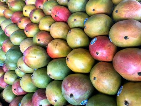 Still Life with Mangoes — photograph by Randy Polito