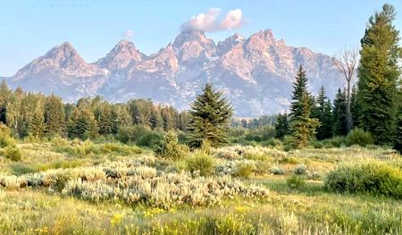 The Tetons, Meadow View — photograph by Randall Polito