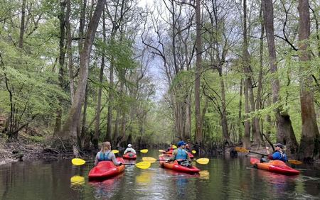 Kayaks, Cypress Swamp — photograph by Randy Polito