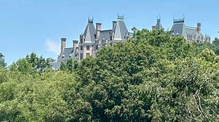 Biltmore Estate, Through the Trees — photograph by Randy Polito