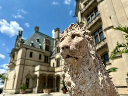 Stone Lion, Biltmore Estate — photograph by Randall Polito