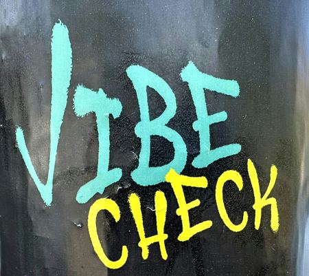 Vibe Check, Second Study — photograph by Randall Polito
