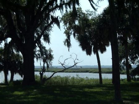 Live Oaks, Marsh Water — photograph by Randall Polito