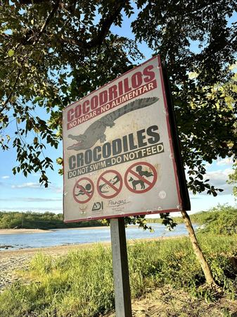 Crocodiles, Warning Sign — photograph by Randall Polito
