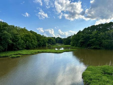 The River Bend, Green Marsh — photograph by Randy Polito