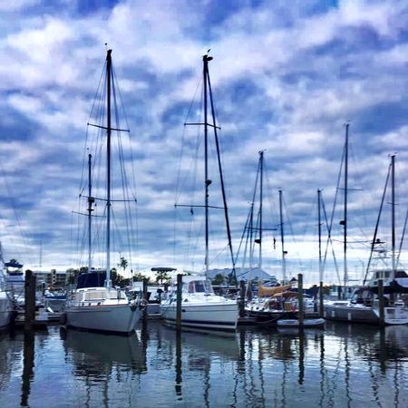 Sailboat Masts, Marina Sky — photograph by Randall Polito