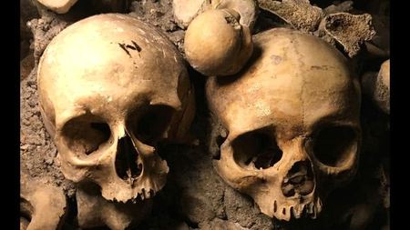 Skulls, Catacomb Study — photograph by Randy Polito