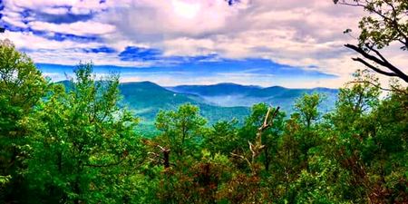 Misty Ridges, Through the Leaves — photograph by Randy Polito
