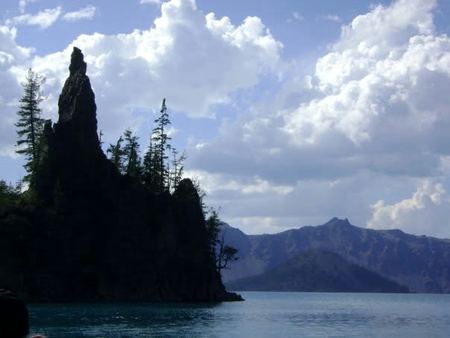 Lone Pine, Rocky Point — photograph by Randy Polito