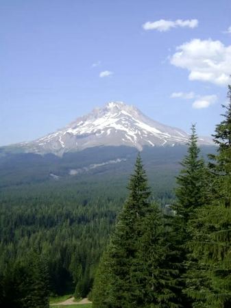Mount Hood, Pine Ridge — photograph by Randy Polito