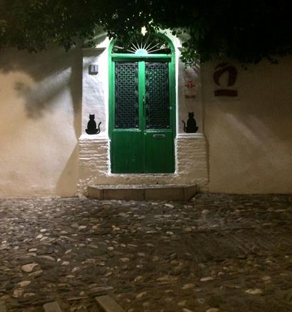 The Green Door, Cobblestone Alley — photograph by Randall Polito