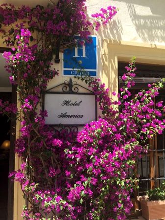 Hotel America, Bougainvillea — photograph by Randy Polito