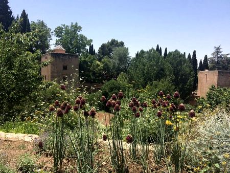 The Alhambra, Distant View — photograph by Randy Polito