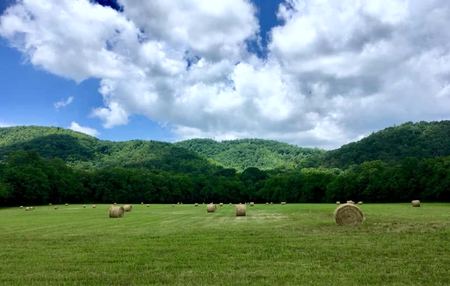 Hay Bales, Green Hills — photograph by Randy Polito