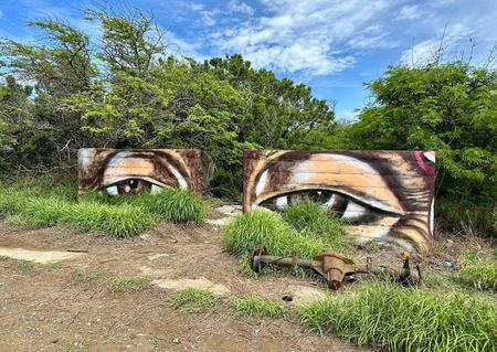 The Watching Eyes, Mural — photograph by Randy Polito