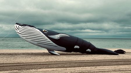 The Beached Whale, Art Installation — photograph by Randy Polito