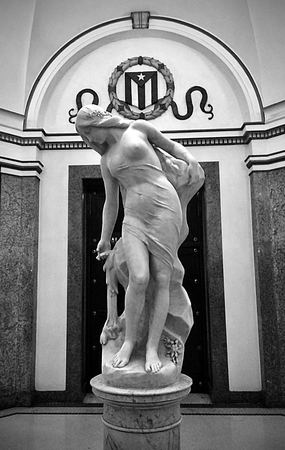 Statue in Niche, Ornate Frame — photograph by Randall Polito