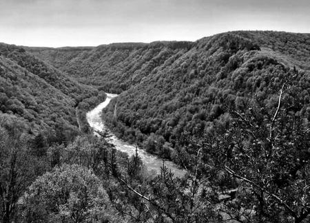 River Valley, Monochrome — photograph by Randall Polito