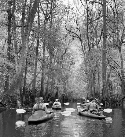 Kayaks, Cypress Swamp (Monochrome) — photograph by Randy Polito