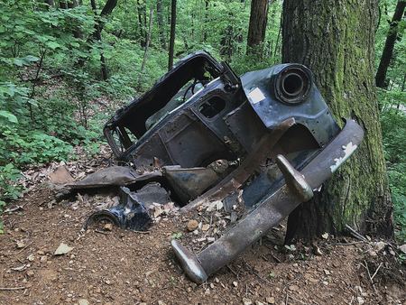 The Wrecked Car, Forest Floor — photograph by Randy Polito