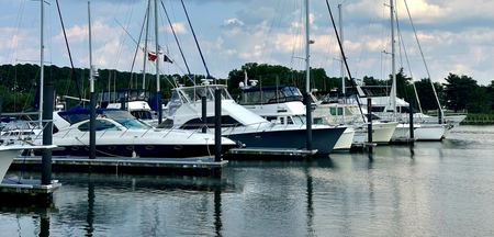 The Marina, Sailboats — photograph by Randy Polito