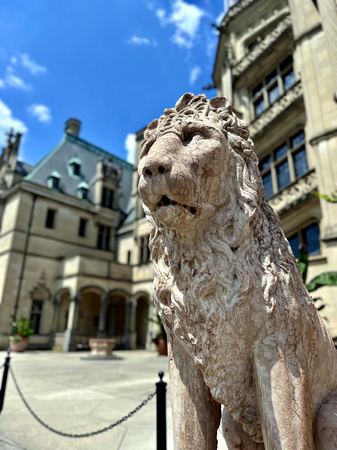 Stone Lion, Biltmore Facade — photograph by Randall Polito
