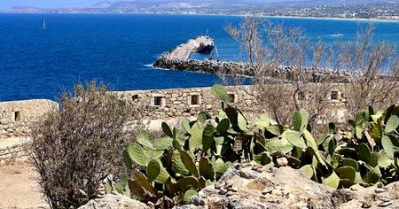 Coastal Ruins, Cactus — photograph by Randy Polito