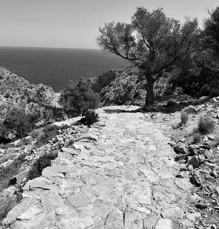 The Coastal Path, Monochrome — photograph by Randall Polito