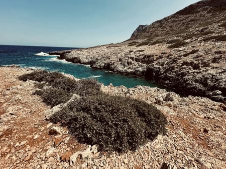 The Coastal Cove — photograph by Randall Polito