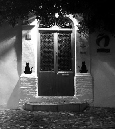 Cat Door, Monochrome — photograph by Randall Polito