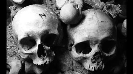Skulls, Study in Grey — photograph by Randall Polito