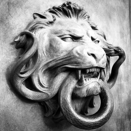 Lion Mask, Dramatic Study — photograph by Randy Polito