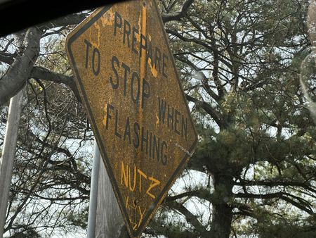 Prepare to Stop, Nutz — photograph by Randy Polito