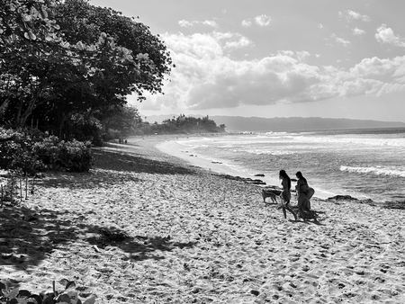 The Beach, Monochrome — photograph by Randy Polito