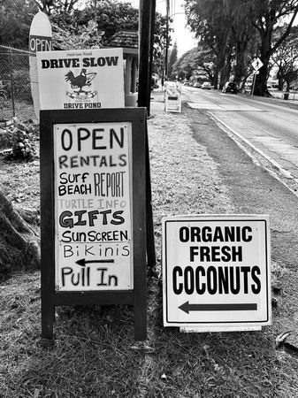 Surf Shop, Roadside Signage — photograph by Randall Polito