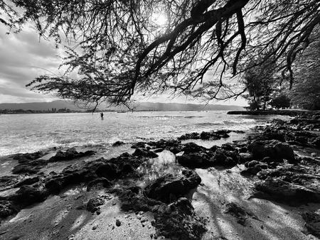 Tide Pools, Monochrome — photograph by Randall Polito