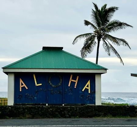 Aloha House, Palm Tree — photograph by Randall Polito