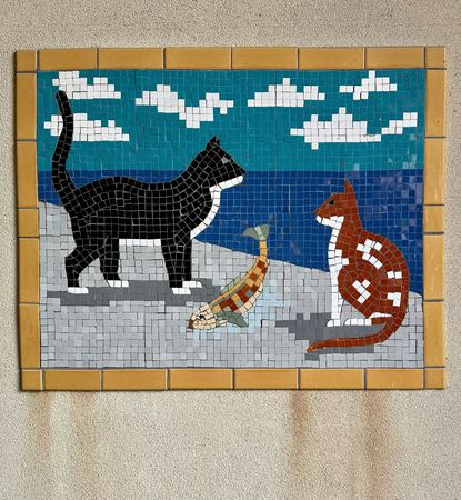 Cats and Fish, Mosaic — photograph by Randall Polito