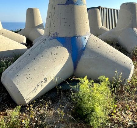 Tetrapod, Close Study — photograph by Randall Polito