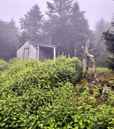 The Foggy Barn — photograph by Randall Polito